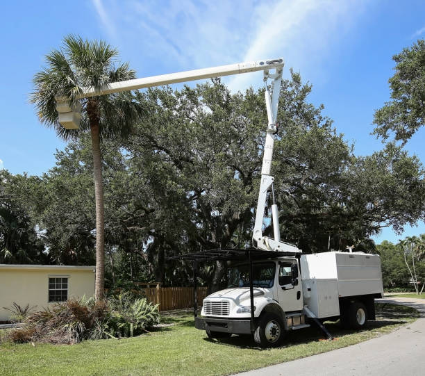 Bucket truck
